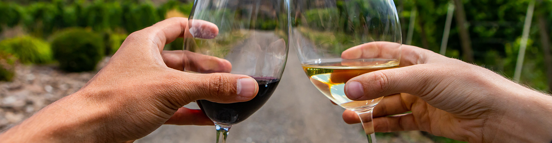 ליווי נדל"ן בכרתים, צרו קשר לתאום פגישה אישית ושיחת היכרות