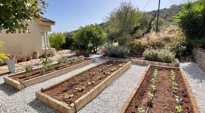 גינה פרטית מתוכננת בכרתים עם ערוגות אבן וצמחייה ים־תיכונית